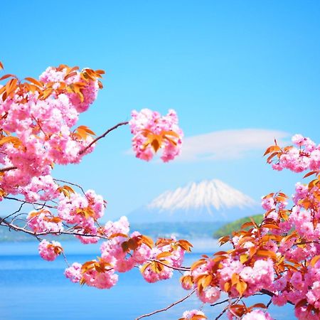 Hotel Cocoa - Vacation Stay 29916V Toyoura Экстерьер фото